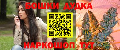 индика Балаково